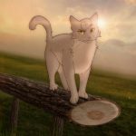 {"remix_data":[],"remix_entry_point":"challenges","source_tags":["local"],"origin":"unknown","total_draw_time":0,"total_draw_actions":0,"layers_used":0,"brushes_used":0,"photos_added":0,"total_editor_actions":{},"tools_used":{"effects":7},"is_sticker":false,"edited_since_last_sticker_save":true,"containsFTESticker":false}